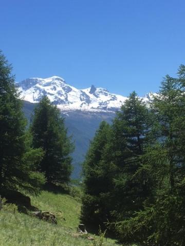 Apartmán Haus Valaisia - Randa Bei Zermatt Exteriér fotografie