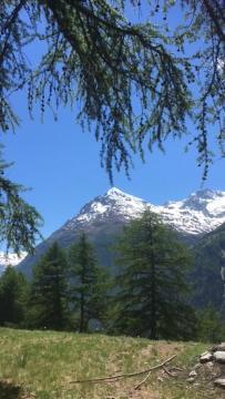 Apartmán Haus Valaisia - Randa Bei Zermatt Exteriér fotografie